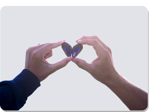 Spiritual Medium Readings